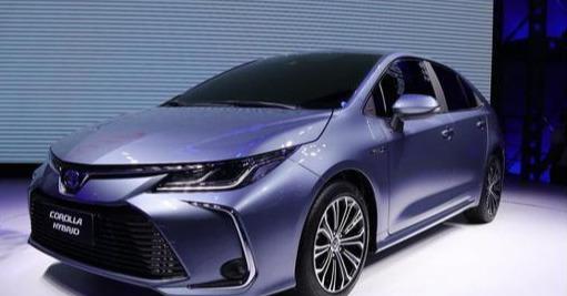 全世界最美的女孩