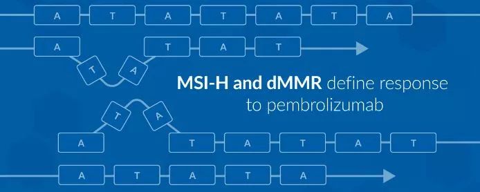 凯利帮的真实历史