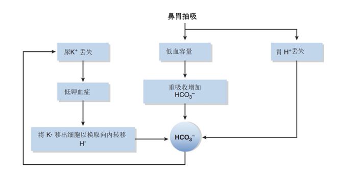 克劳斯：圣诞节的秘密