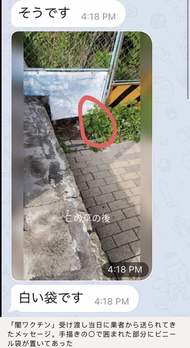 养鬼吃人8:地狱世界