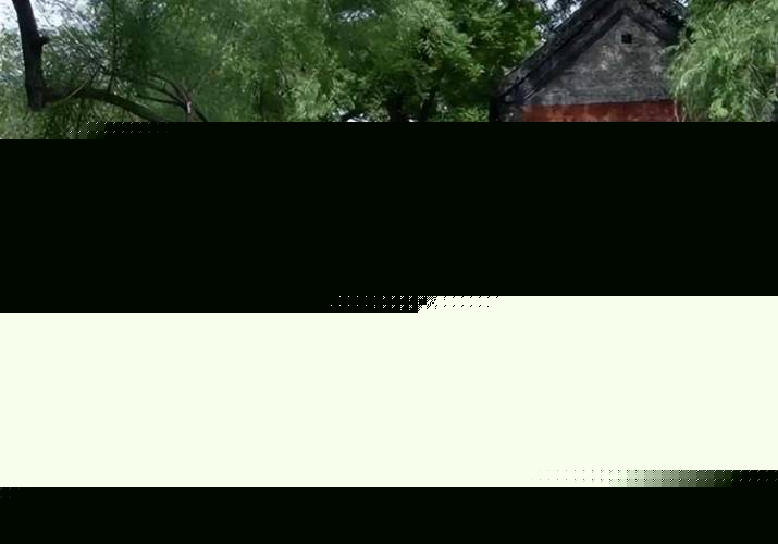 命运之夜——天之杯Ⅰ：恶兆之花 劇場版