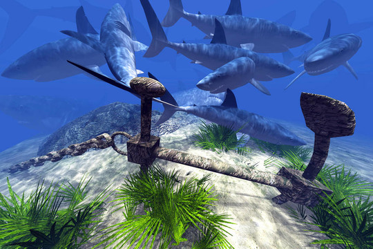 兴安岭猎人传说2