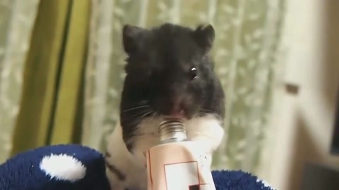 冬荫功2:拳霸天下(国语版)