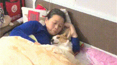 嘻嘻嘻嘻吸血鬼