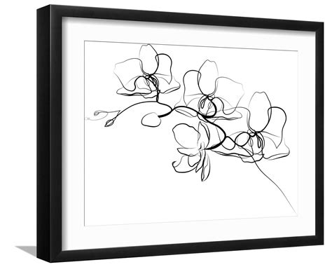 克雷斯的魔法学院