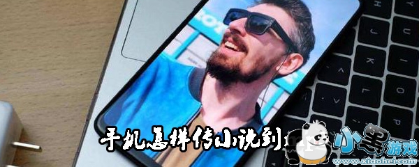 光荣之路上的狗