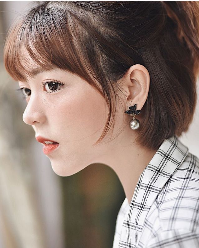 向山进发 回忆的礼物