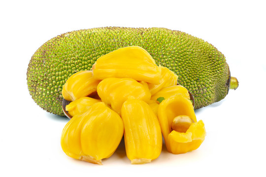 养家之人（原声版）