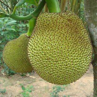 六月里来好阳光