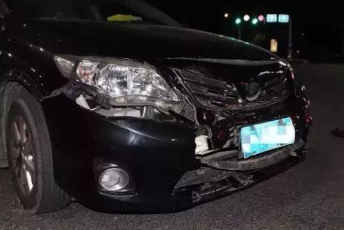 史酷比！毛茸茸的对决