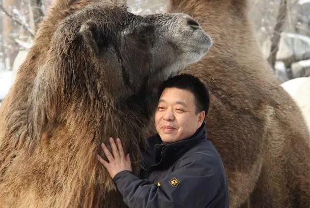 全职杀手(粤语版)