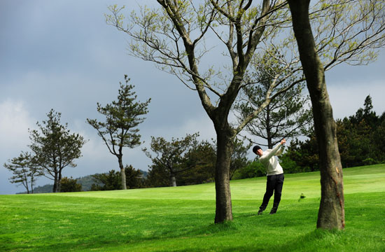 全职杀手(粤语版)